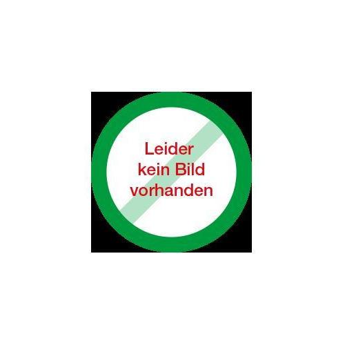 Bakterien-Virenfilter inkl. Mundstück PK 100 für Jaeger/Vitalograph