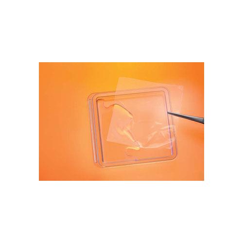 Genta-Foil resorb 2,5x2,5cm Kollagenfolie m.Antibiotika