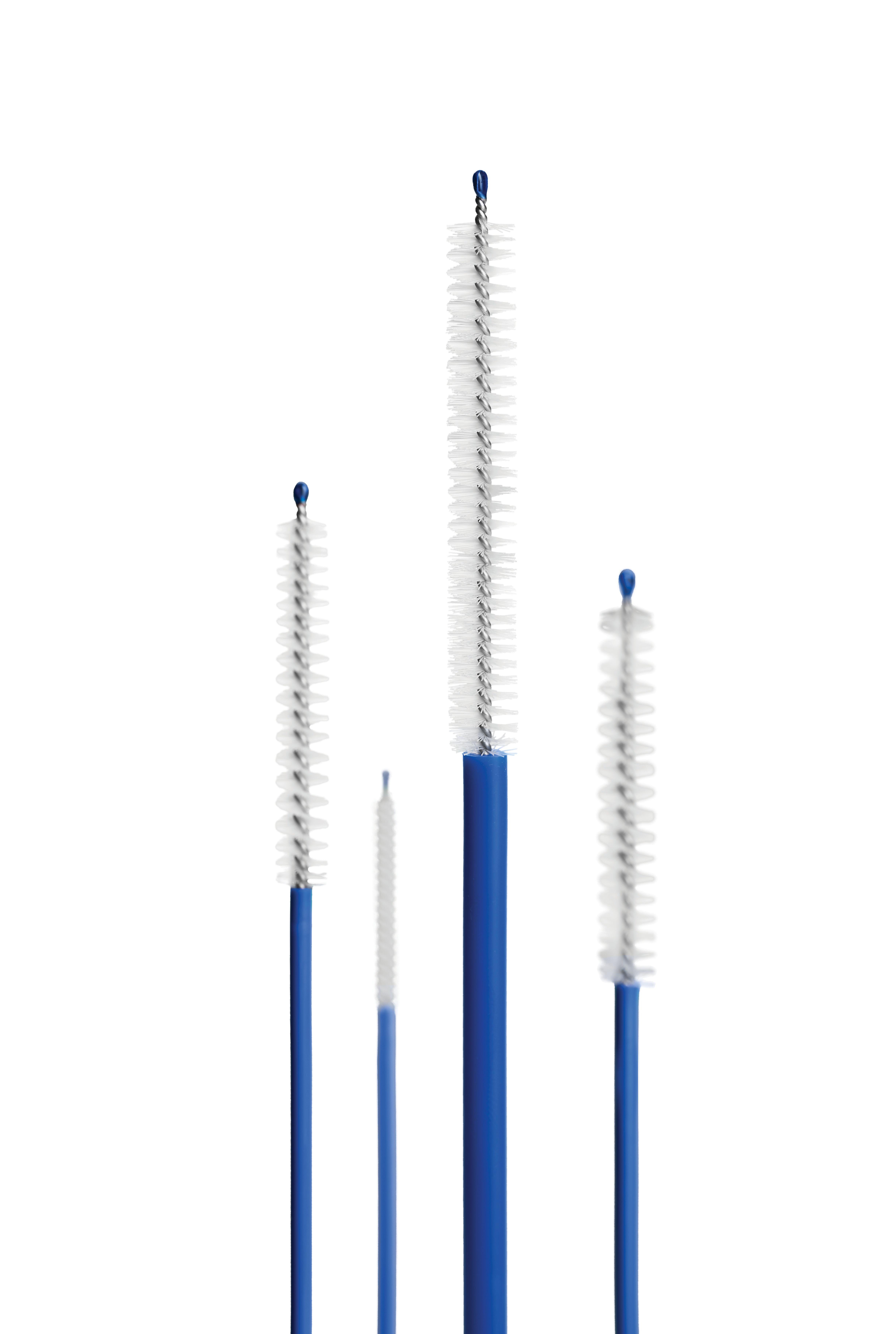 Reinigungsbürste 300mm PK 2 blauer Nylonschaft